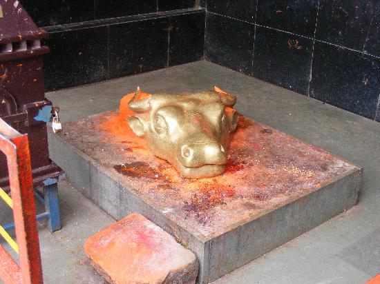 Maa Saptashrungi Temple Buffalo Head