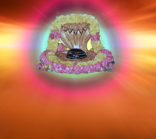 Sri Sailam Malikarjuna Shiva Lingam